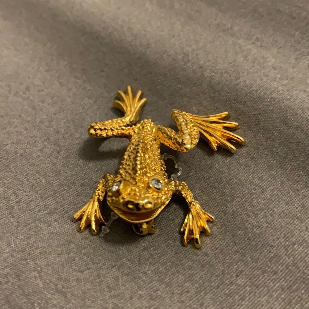 Gold frog pin